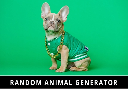 Random Animal Generator Random Animal Generator