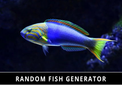 Random Fish Generator Random Fish Generator