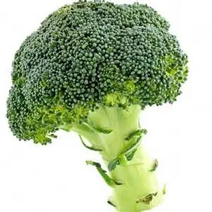 Brocolli