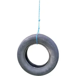 Tire Swing